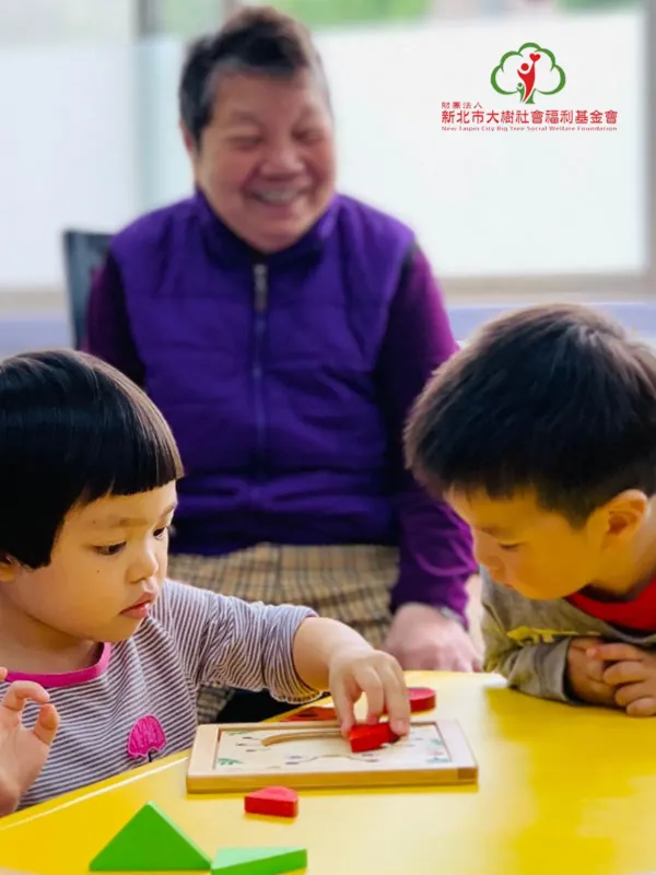 Big Tree Foundation - Government & Non-Profit Web Design Project