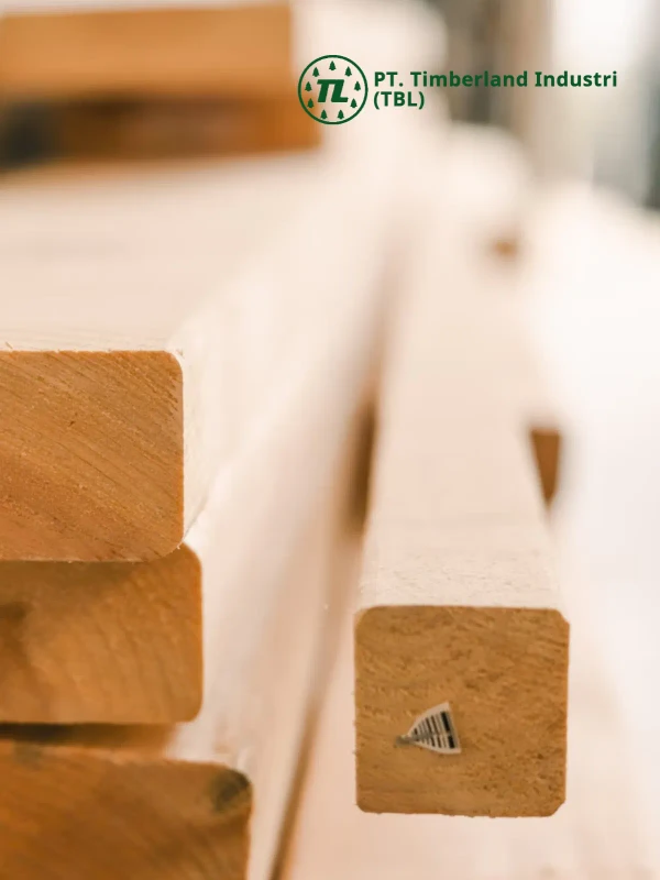 PT.Timberland industri 綠霖木業 - 工商職業 網頁設計作品