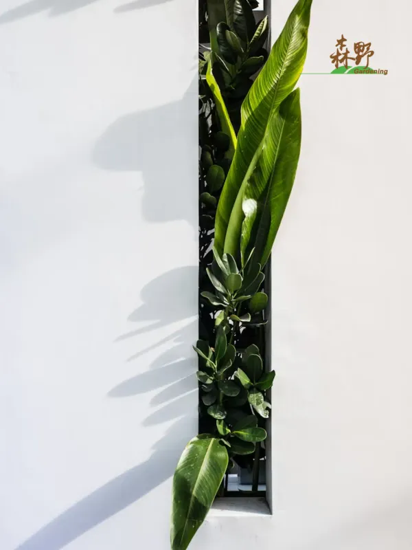 森野造园 - 生活旅游服务 网页设计作品