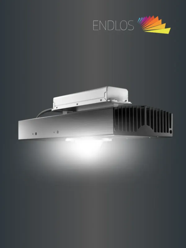 立吉科技 - 工商职业 网页设计作品