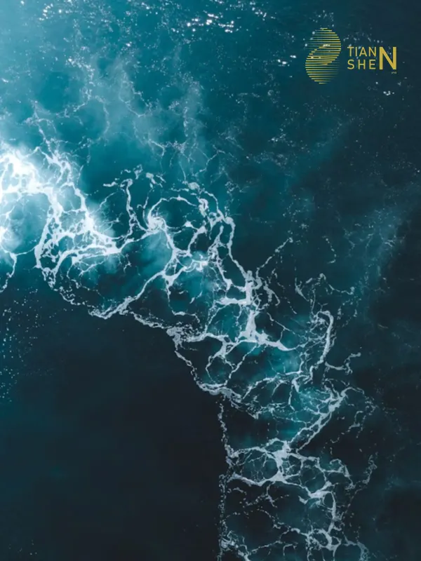 天神水 - 工商职业 网页设计作品