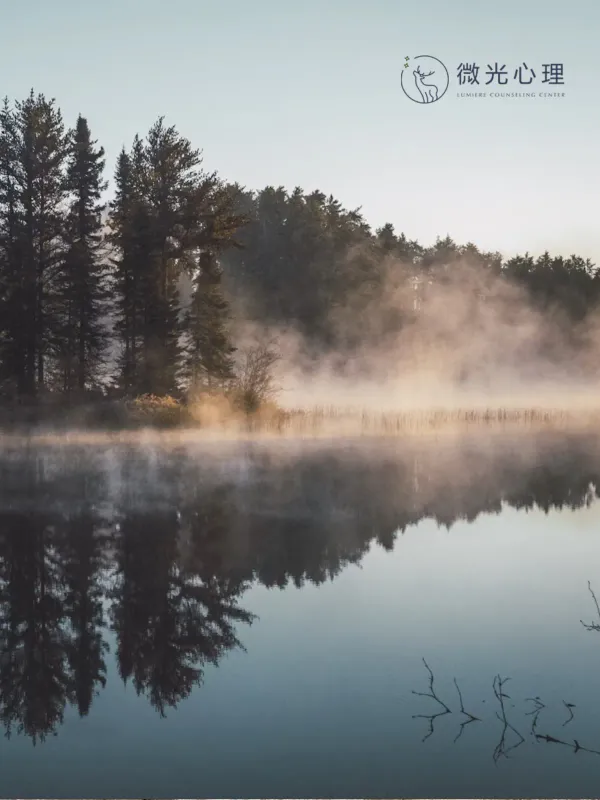 微光心理 - 工商职业 网页设计作品