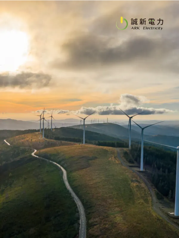 诚新电力 - 工商职业 网页设计作品
