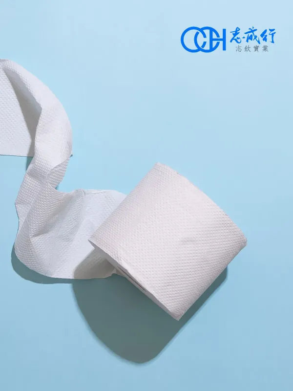 志成行-志钦实业 - 工商职业 网页设计作品