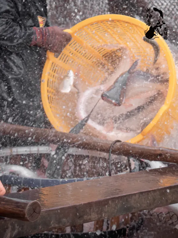 沈坤喜土虱养殖场 - 生活旅游服务 网页设计作品