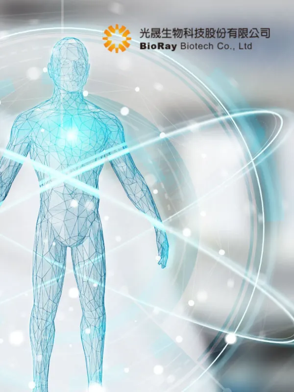 Ligh Tsen Bio-tech Corp. - Lifestyle & Travel Web Design Project